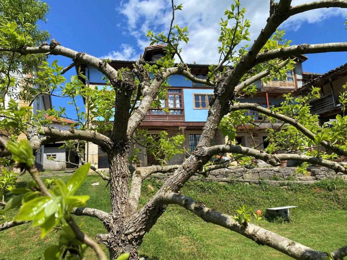 Casa Rural El Bohio Arriondas Exterior photo
